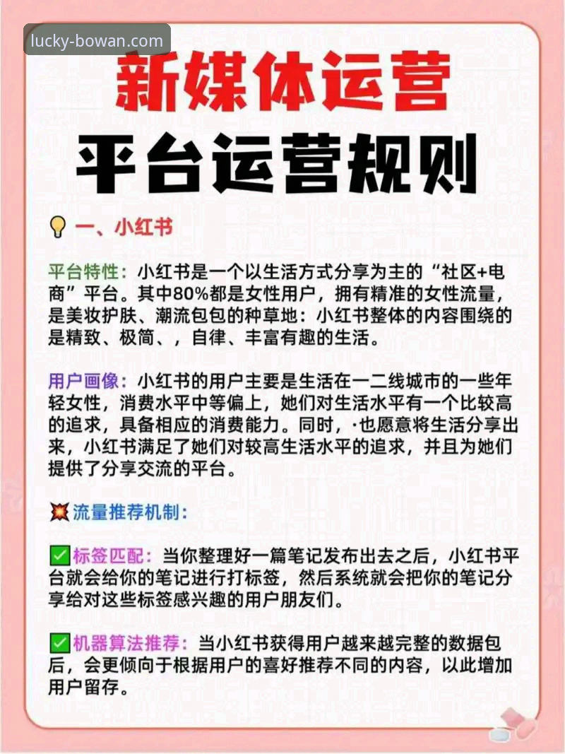 博万娱乐官方网站 博万娱乐平台新手必备知识:从官网登录到手机版使用全解析